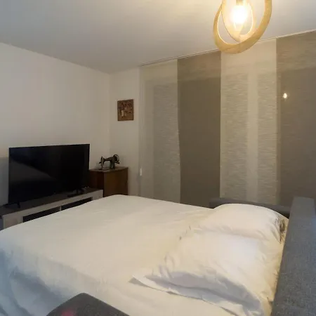 Apartmán Parking Prive - Acces Pmr - Terrasse Vue Chateaux - 2 Lits Châtenois